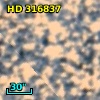 HD 316837