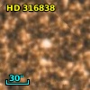 HD 316838