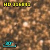 HD 316841