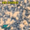 HD 316845