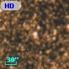 HD 316889