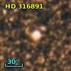 HD 316891