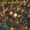 HD 316911