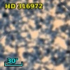 HD 316972