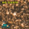 HD 316978