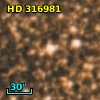 HD 316981