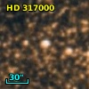 HD 317000