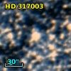 HD 317003