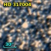 HD 317004