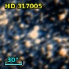 HD 317005