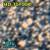 HD 317008