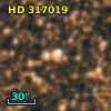 HD 317019