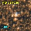 HD 317025