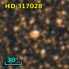 HD 317028