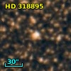 HD 318895