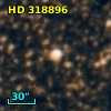 HD 318896