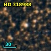 HD 318988