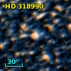 HD 318990
