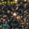 HD 318991