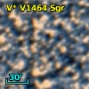 V* V1464 Sgr