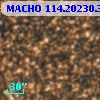 MACHO 114.20230.3899