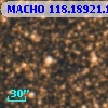 MACHO 118.18921.1569