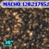 MACHO 120.21785.976