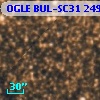 OGLE BUL-SC31  24931