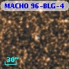 MACHO 96-BLG-4