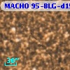 MACHO 95-BLG-d15