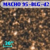 MACHO 95-BLG-d21