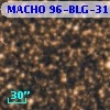 MACHO 96-BLG-31
