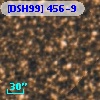 [DSH99] 456-9