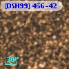 [DSH99] 456-42