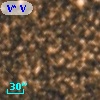 V* V5369 Sgr