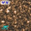 V* V5379 Sgr