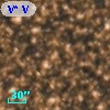 V* V5399 Sgr