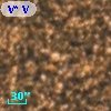 V* V5418 Sgr