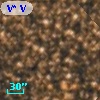 V* V5446 Sgr