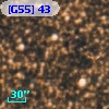 [G55]  43