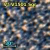 V* V1501 Sgr