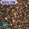 [G55] 226