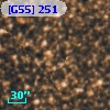 [G55] 251