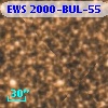 EWS 2000-BUL-55