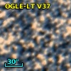 OGLE-LT V37