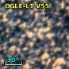 OGLE-LT V55