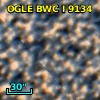 OGLE BWC   I   9134