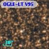 OGLE-LT V95