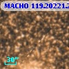 MACHO 119.20221.298