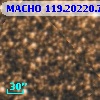 MACHO 119.20220.79